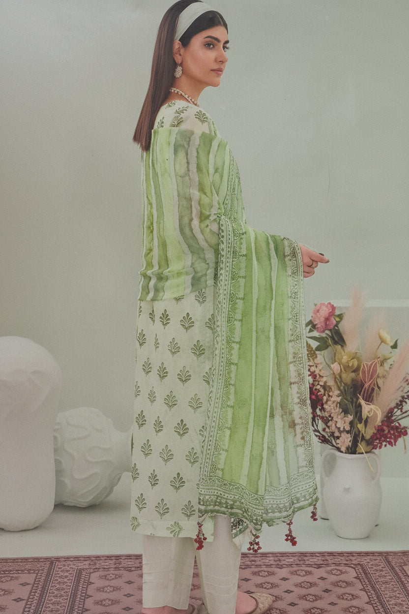 Bin iqbal.3pc.chicken kari lawn.embroided